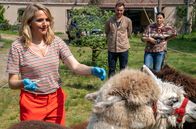 Praxis mit Meerblick – Lamas als Infektionsträger? Nora (Tanja Wedhorn) nimmt eine tierische Blutprobe. Max (Bernhard Piesk) und Astrid (Nele Rosetz) schauen zu.