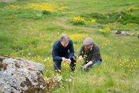 Gordon Ramsay: Kulinarische Abenteuer – Fr, 27.12., 12:00 Uhr
