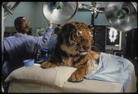 Dr. Dolittle – Dr. Dolittle (1998)