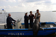 Hallo Robbie! – Hallo Robbie! (2008)