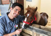 Einstein – Moderator Tobias Müller mit Pony «Bonny», das wegen einer Kolik operiert werden musste
