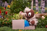 Unser Sandmännchen – Obwohl er weiß, dass es falsch ist, ist Pitti zu neugierig und schaut schon mal in Schnattchens Paket.