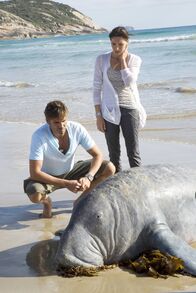 Long Weekend – Long Weekend (2008)