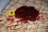 Homicide Hunter - Dem Mörder auf der Spur – Tatort Schlafsofa: Als Lt. Joe Kenda nach dem Mord an dem 28-jährigen Curtis Ashley die Blutlache inspiziert, sucht er nach ersten Hinweisen auf den Täter. Wer hat den Ex-Soldaten getötet?; Tatort Schlafsofa: Als Lt. Joe Kenda nach dem Mord an dem 28-jährigen Curtis Ashley die Blutlache inspiziert, sucht er nach ersten Hinweisen auf den Täter. Wer hat den Ex-Soldaten getötet?
