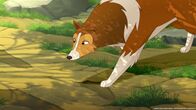 Lassie – Lassie hat die Spur des angeblichen Seeungeheuers aufgenommen.
