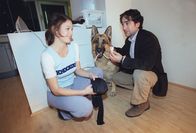 Kommissar Rex – Elke Winkens (Niki Herzog), Alexander Pschill (Marc Hoffmann).
