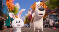 Pets – Pets (2016)
