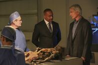Navy CIS – Der Tote aus dem Wald stellt sich für Gibbs (Mark Harmon, r.) und Vance (Rocky Carroll, M.) als ein vermisster Verdächtiger in einem Fall von Betrug und Bestechung heraus. Was ergibt Duckys (David McCallum, l.) Autopsie?