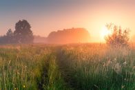 Wetter-Panorama und Programmvorschau – Sunny summer morning. Beautiful meadow with mist. Path in field with wildflowers. Foggy nature.