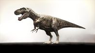 Jurassic C.S.I. – CGI: A Gorgosaur (a kind of Tyrannosaur) on smokey background.