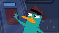 Phineas und Ferb – PERRY THE PLATYPUS