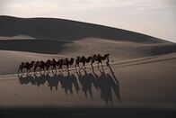 Aufstieg und Fall großer Völker – Die antike chinesische Zivilisation hatte ein Monopol auf begehrte Güter, darunter auch Seide. Diese wurde in die ganze Welt verkauft. Dafür legten die Herrscher Handelswege an, die sogenannte Seidenstraße.