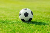 Fußball: 2. Liga – Stockfotografie Fußball auf Rasen