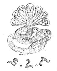 Auf Sendung – SLA snake symbol