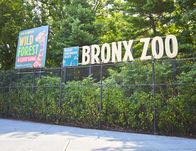 Bronx Zoo - Tierpark der Superlative – Mo, 24.10., 07:05 Uhr
