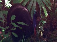 Welt der Tiere – Welt der Tiere (2006)