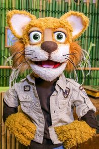 Tolle Tiere – Kater Kurt
