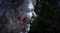 What We Become – Ein unbekanntes „Virus“: Wer sich infiziert, wird zum Zombie.