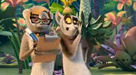 King Julien – King Julien (r.) versucht, etwas über Eloises Plan herauszufinden. Doch die lässt sich nicht so leicht in die Karten schauen.