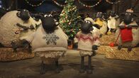 Shaun das Schaf – Die Schafe sind fleißig, für alle stricken sie flauschige Weihnachtspullover.