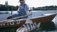Löwenzahn Classics – Peter (Peter Lustig) hat sich einen großen Fisch gebastelt. Im Inneren des Fisches steckt eine Kamera. Peter wird den Fisch schwimmen lassen, vielleicht erhält er so Fotos von dem Bärstädter See-Monster.