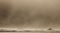 Die Macht der Elemente – Die größte Umweltkatastrophe in der Geschichte der USA war ein Staubsturm. Der sogenannte "Dust Bowl" veränderte die Geschichte des Landes.