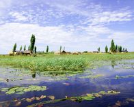 Expeditionen: Mythos Kongo – Am Ende der Regenzeit steht in Bangweulu fast alles unter Wasser – wer von einem Ort zum anderen will, braucht ein Boot oder eine Piroge.