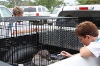 Tierpolizei Miami – Kathy und Lisa