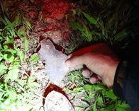 UFO-Jäger – Houston, Texas, USA: Ein Metallfragment an einer Absturzstelle bei der Grist Mill.