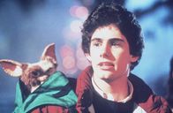 Gremlins - Kleine Monster – Es gibt drei wichtige Regeln, die Billy (Zach Galligan) unbedingt einhalten muss, wenn er den kleinen Gizmo als niedliches und putziges Haustier behalten will. Niemals mit Wasser in Kontakt bringen oder nach Mitternacht füttern, und nicht grellem Licht aussetzen ...