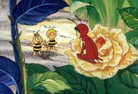 Biene Maja – Maja und Willi sprechen mit Vielliebchen.