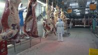 Vom Rind zum Steak - Europas größter Rinder-Schlachthof – Rund 100.000 Rindersteaks werden im Schlachtbetrieb in Waldkraiburg pro Tag verpackt und an Metzgereien, Supermärkte, große Fastfood-Ketten und viele Steakhäuser geliefert.