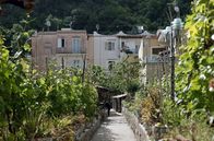 Stadt Land Kunst – Die Vulkaninsel Ischia stellt Pascal Quignards literarisches Exil dar.