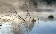 Der Neckar – Morgenstimmung am Schwenninger Moos. Hier entspringt der Neckar.