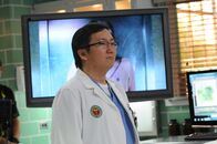 Hawaii Five-0 – Steht dem Team mit seinem Wissen zur Seite: Dr. Max Bergman (Masi Oka) ...