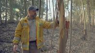 Im Angesicht der Katastrophe – Portugal - Alex Held vom Europäischen Forstinstitut untersucht brennbare Eukalyptusbäume (National Geographic)