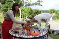 Zu Tisch ... – Die Ziege von Stéphanie hätte gerne ein paar Möhren aus der Daube-Marinade.