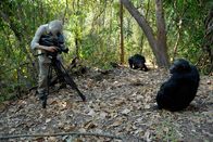 Expeditionen: Afrikas Rift Valley - Der große Graben – Erich Pröll, Mahale Nationalpark.