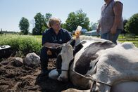 Der unglaubliche Dr. Pol – Weidman, MI - Dr. Brenda.