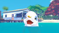 Zoom - Der weiße Delfin – Zoom hat seinen Spaß, er spielt mit einem Schmetterling. Noch ahnt er nicht, dass er heute wieder einmal Retter in der Not sein wird.