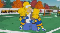 Die Simpsons – Die Simpsons (2016)