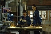 Bones - Die Knochenjägerin – Dr. Addy (Eric Millegan, l.); Dr. Brennan (Emily Deschanel, r.)