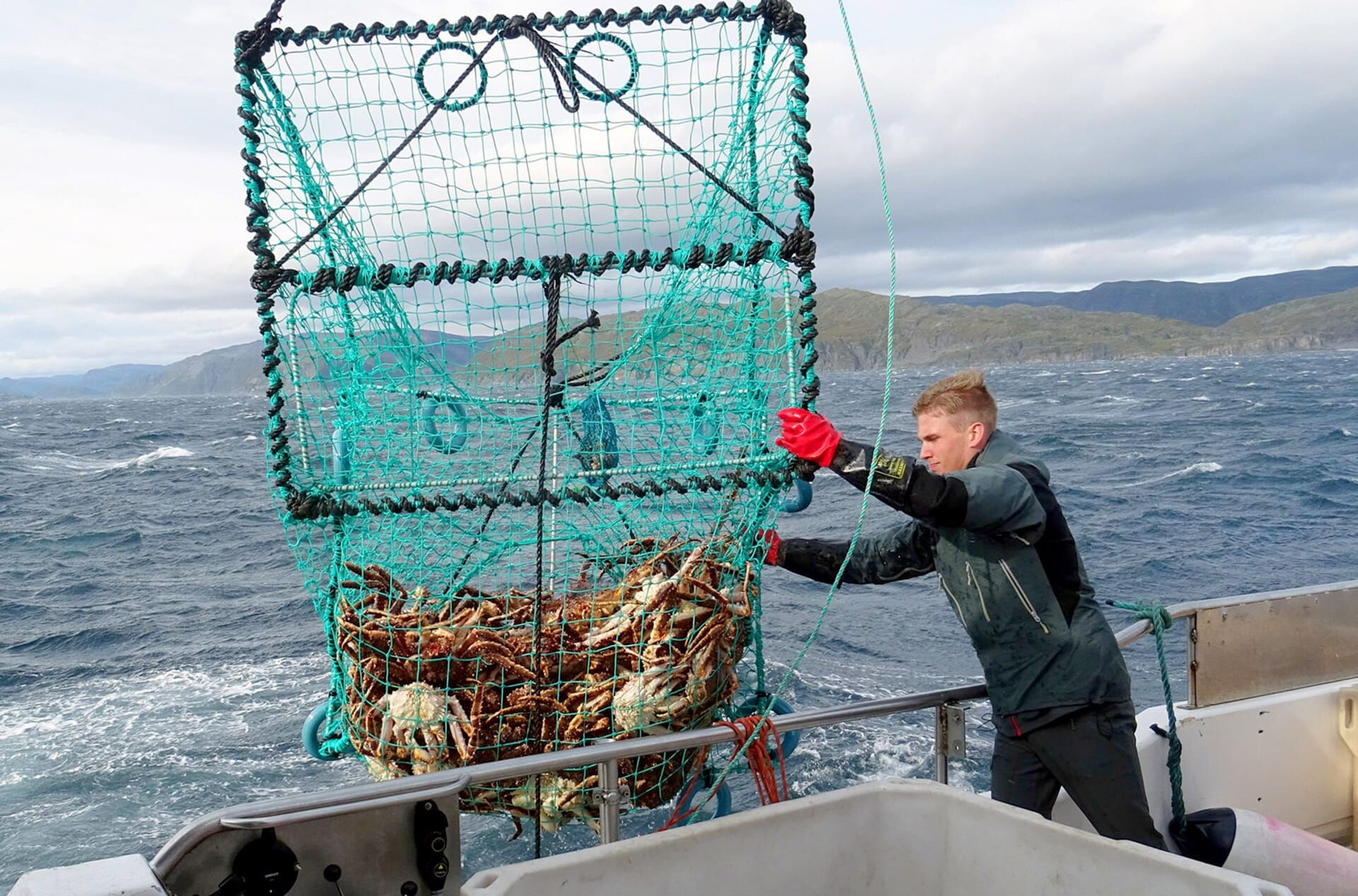 Zu Tisch ... – Wrack am Ufer von Langfjordnes