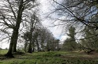 Stadt Land Kunst – Mit „The Quiet Girl“ porträtiert der Regisseur Colm Bairéad das ländliche, wortkarge Irland.