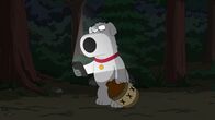 Family Guy – Brian Griffin