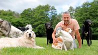 Hunde verstehen! – In Hunde verstehen! ist Andreas Ohligschläger in Nordrhein-Westfalen unterwegs und unterstützt Hundehalter, ihre Hunde richtig zu verstehen und Probleme wieder in den Griff zu bekommen.