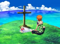 One Piece: Nami – Nami