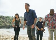 Hawaii Five-0 – (v.l.n.r.) Tani Rey (Meaghan Rath); Steve McGarrett (Alex O'Loughlin); Pua Kai (Shawn Thomsen); Lou Grover (Chi McBride)