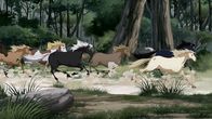 Lenas Ranch – Mistral trifft eine wilde, rossige Stute und schließt sich ihrer Herde an.