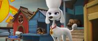 Paw Patrol - Der Kinofilm – Sa, 15.08., 08:04 Uhr